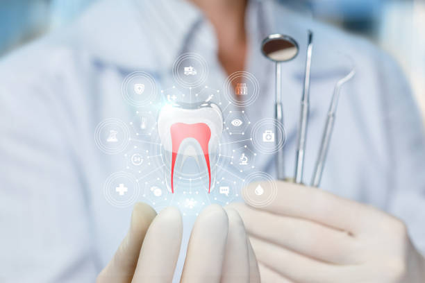 Best Dental Exams and Cleanings  in South Berwick, ME